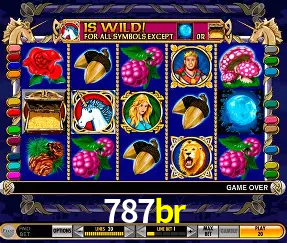 Descubra a Essência do 787br: Nossa História e Compromissos